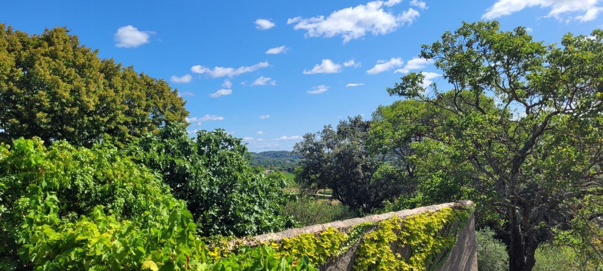 Le Domaine Du Soulier -Gite Et Chambres D'Hotes - La Maison Du Gardien Tornac Buitenkant foto