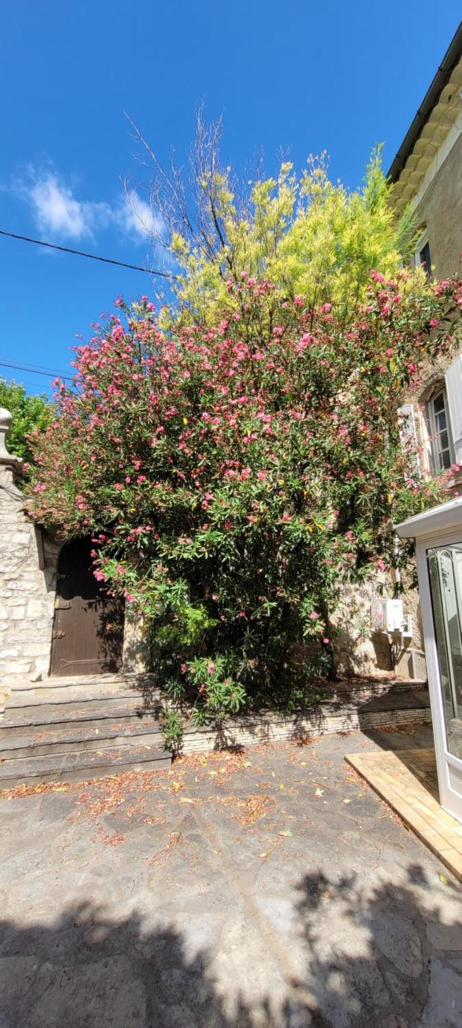 Le Domaine Du Soulier -Gite Et Chambres D'Hotes - La Maison Du Gardien Tornac Buitenkant foto
